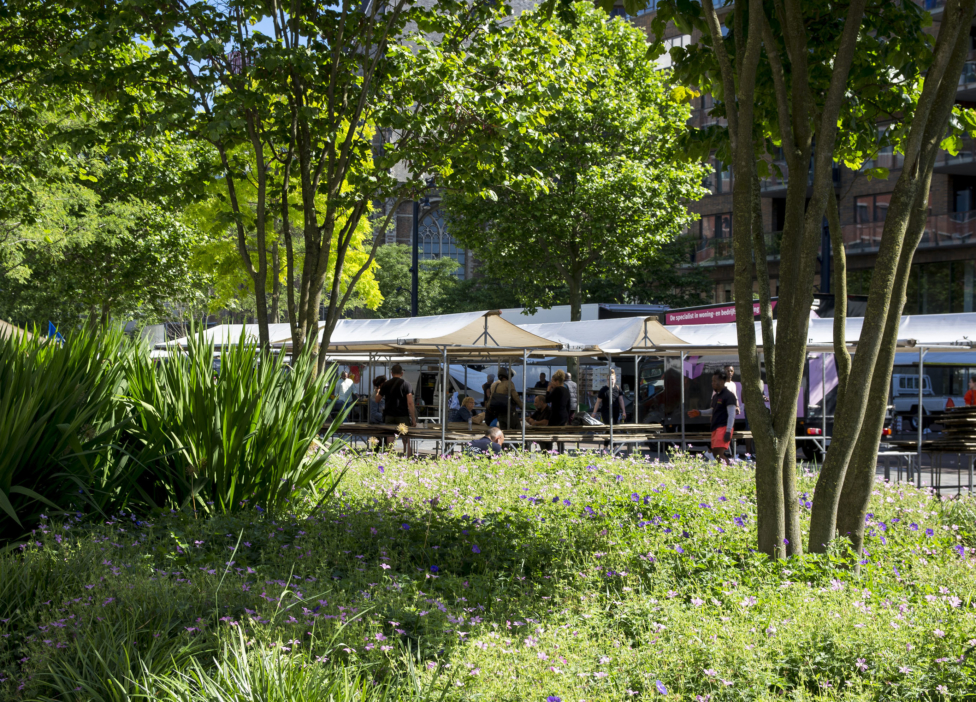 Creator of meaningful places