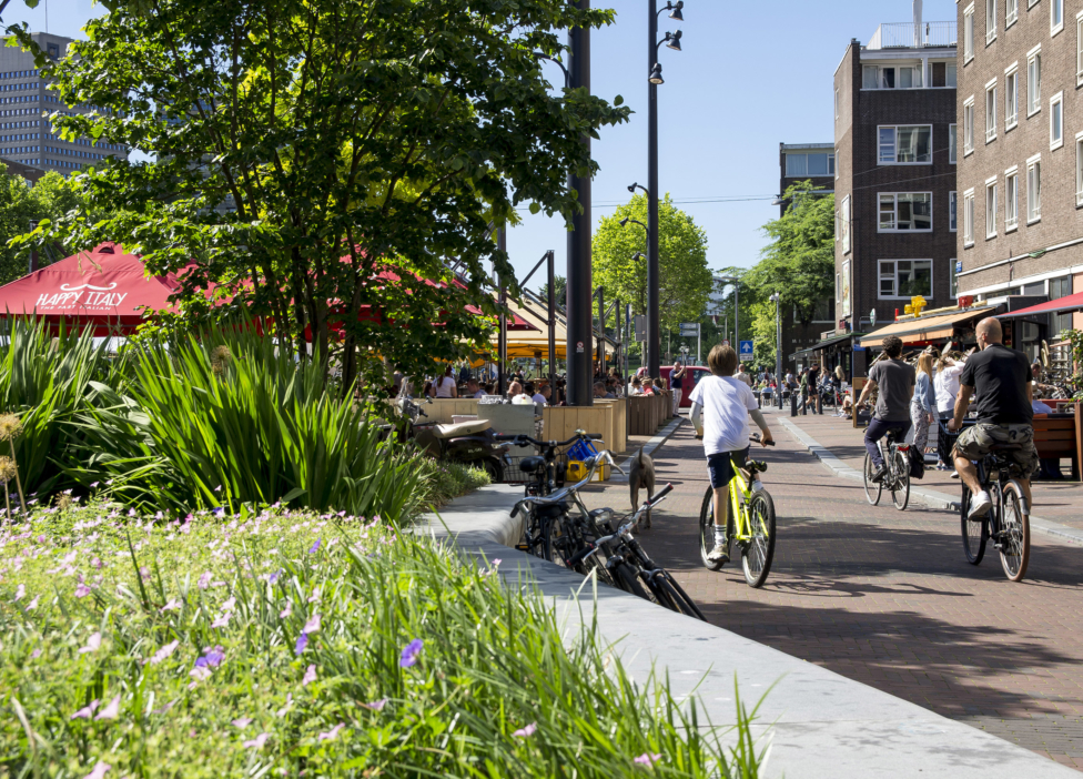 Creator of meaningful places