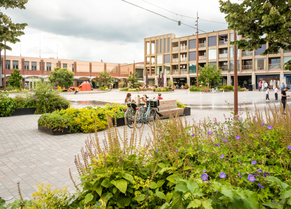 Creator of meaningful places