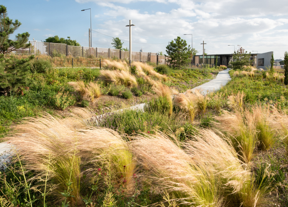 Creator of meaningful places