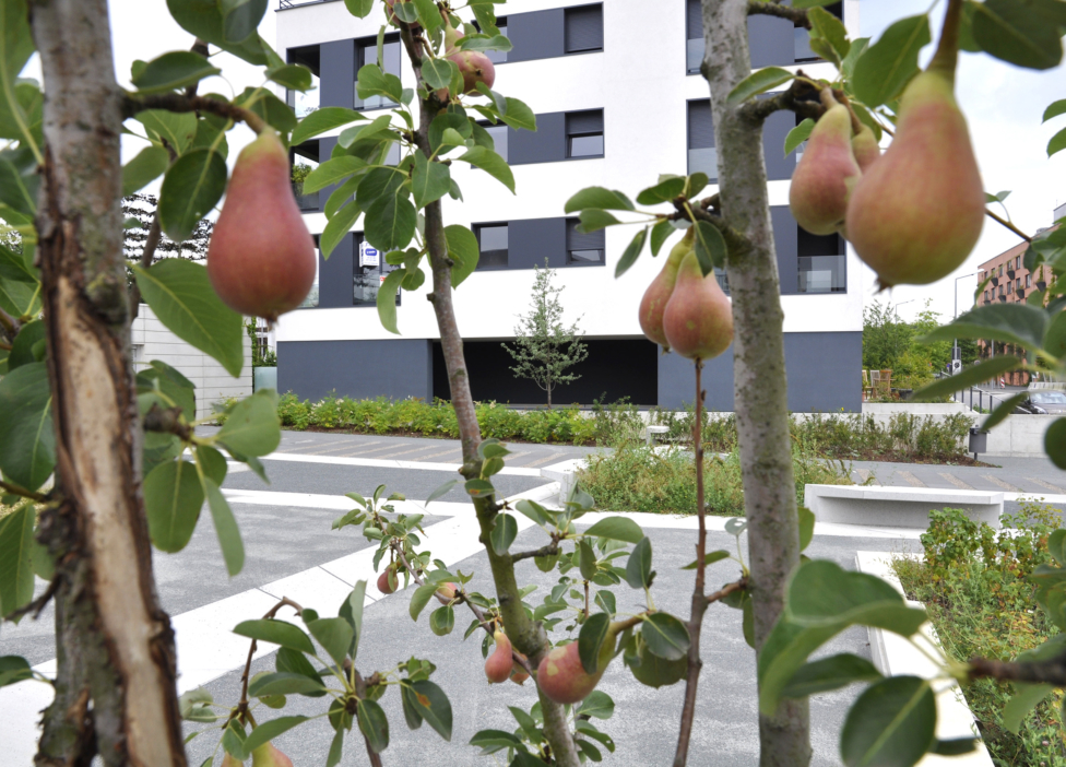 Creator of meaningful places