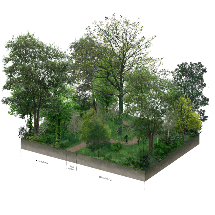 Creator of meaningful places