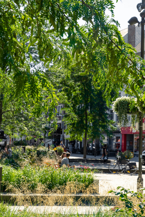 Creator of meaningful places