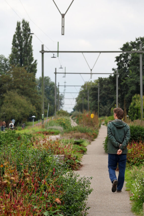 Creator of meaningful places